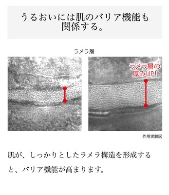 『PRIME』より引用