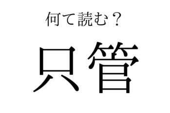 【読めたらすごい】「只管」何て読む?