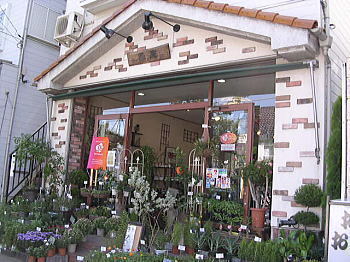 三郷市エリアのおしゃれな花屋10選！便利な駅前店やアレンジが人気な店も！