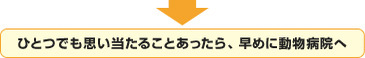 かゆい皮膚病にどう対処する？