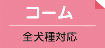 お手入れのお悩み解決！ブラッシング術