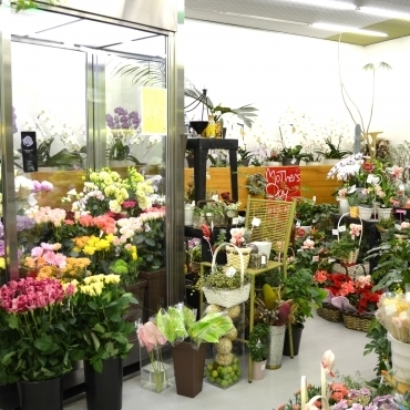 宇部市のおしゃれな花屋11選!便利な駅前店やアレンジ花束が人気な店も!