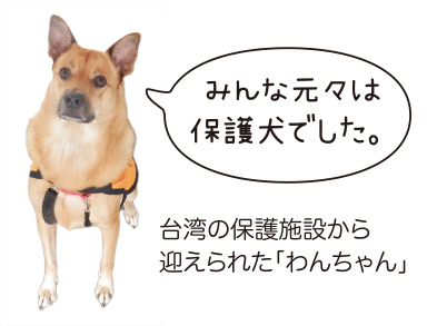 日本聴導犬協会へ取材に行ってきました！