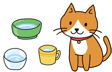 猫がよろこぶ飲み水＆トイレって？