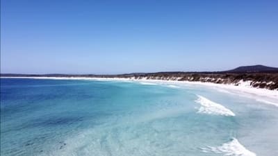 【西オーストラリア】ユーカリの森と南極海の神秘的な海に癒される！グレートサザン地域のワイナリー巡り1.jpg