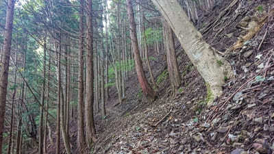 【山梨】秀麗富嶽十二景九番「高畑山」と「倉岳山」を巡る登山コース!!1.jpg