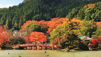 秋の絶景が見た～い！東北6県の紅葉スポット11選1.jpg