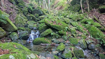 【山梨】秀麗富嶽十二景九番「高畑山」と「倉岳山」を巡る登山コース!!1.jpg