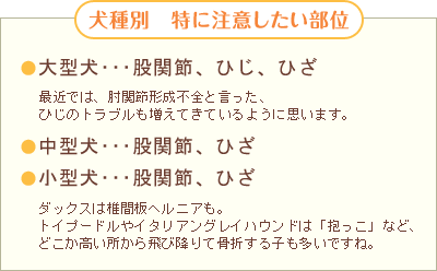 【動物看護師監修】せっかくのフローリングに、なぜマットを敷くの？