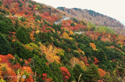 天空を走る道！磐梯吾妻スカイラインの紅葉ドライブ完全ガイド【福島】1.jpg