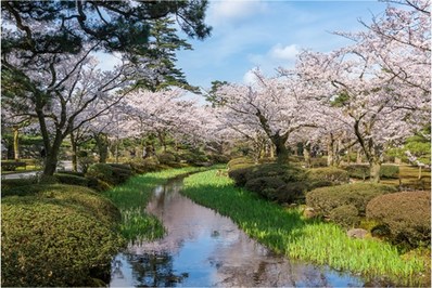 【金沢観光】兼六園の魅力 お得な割引情報から周辺のランチ情報まで