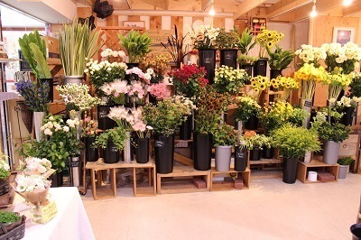 松山市のおしゃれな花屋25選！便利な駅前店やアレンジ花束が人気な店も！