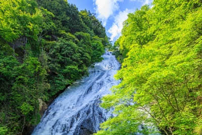 栃木県の人気観光スポットTOP20！旅行好きが行っている観光地ランキング1.jpg