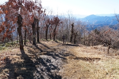 【神奈川】初心者にも人気の陣馬山 あこがれの360度大パノラマ！1.jpg