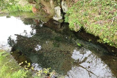 阿蘇山のカルデラが作り出した水の絶景！熊本で必ず行きたい名水スポット6選1.jpg