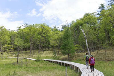 栃木県の人気観光スポットTOP20！旅行好きが行っている観光地ランキング1.jpg