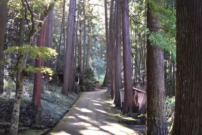 【兵庫県】丹波の紅葉名所の穴場！趣き抜群の「慧日寺」1.jpg