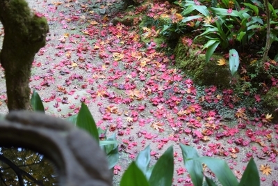 【兵庫県】丹波の紅葉名所の穴場！趣き抜群の「慧日寺」1.jpg