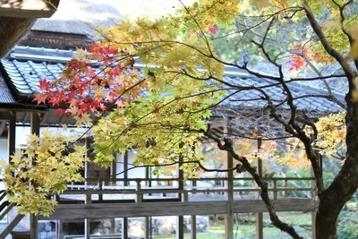 【兵庫県】丹波の紅葉名所の穴場！趣き抜群の「慧日寺」1.jpg