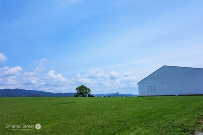 紗栄子さん経営の人気スポットNASU FARM VILLAGE【栃木】1.jpg