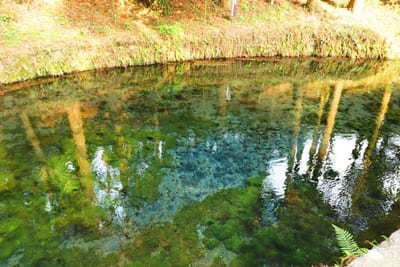 阿蘇山のカルデラが作り出した水の絶景！熊本で必ず行きたい名水スポット6選1.jpg