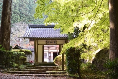 【兵庫県】丹波の紅葉名所の穴場！趣き抜群の「慧日寺」1.jpg