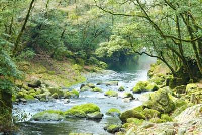 阿蘇山のカルデラが作り出した水の絶景！熊本で必ず行きたい名水スポット6選1.jpg