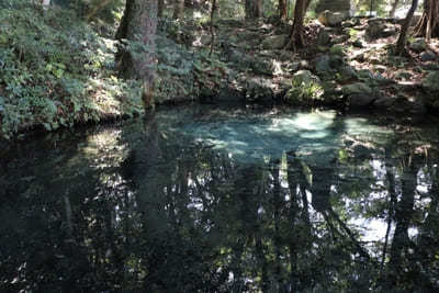 阿蘇山のカルデラが作り出した水の絶景！熊本で必ず行きたい名水スポット6選1.jpg