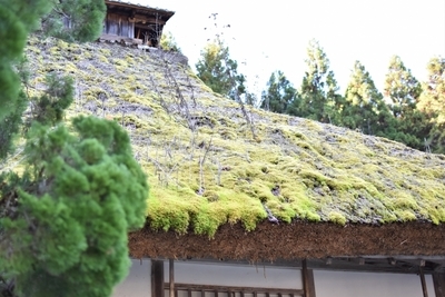 【兵庫県】丹波の紅葉名所の穴場！趣き抜群の「慧日寺」1.jpg