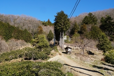 【神奈川】初心者にも人気の陣馬山 あこがれの360度大パノラマ！1.jpg