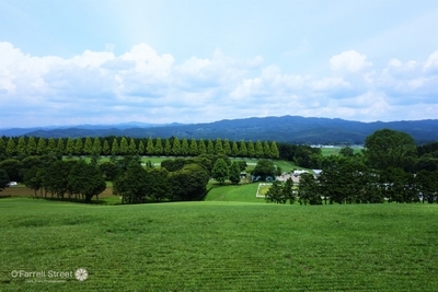 紗栄子さん経営の人気スポットNASU FARM VILLAGE【栃木】1.jpg