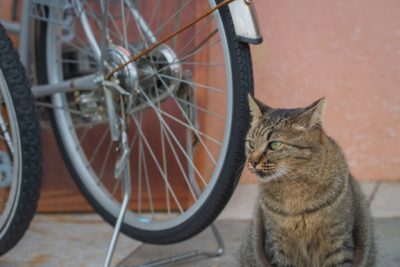 パート通勤の定番！「自転車通勤」で気をつけたい３つのポイント