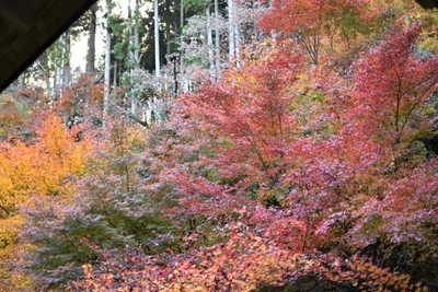 【兵庫県】丹波の紅葉名所の穴場！趣き抜群の「慧日寺」1.jpg