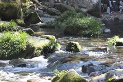 阿蘇山のカルデラが作り出した水の絶景！熊本で必ず行きたい名水スポット6選1.jpg