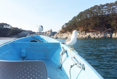 龍泉洞・浄土ヶ浜・北山崎をめぐる1泊2日おすすめ観光モデルコース【岩手・三陸海岸】1.jpg