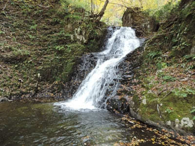 【岐阜:飛騨】紅葉と滝の絶景！「宇津江四十八滝」1.jpg