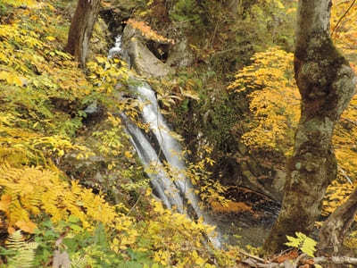 【岐阜:飛騨】紅葉と滝の絶景！「宇津江四十八滝」1.jpg