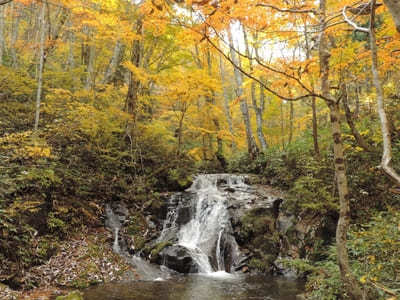 【岐阜:飛騨】紅葉と滝の絶景！「宇津江四十八滝」1.jpg