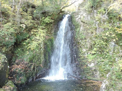 【岐阜:飛騨】紅葉と滝の絶景！「宇津江四十八滝」1.jpg