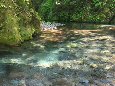 阿蘇山のカルデラが作り出した水の絶景！熊本で必ず行きたい名水スポット6選1.jpg