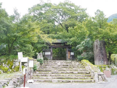 【兵庫】「高源寺」の天目カエデの青に埋もれる！秋には美しい紅葉も1.jpg