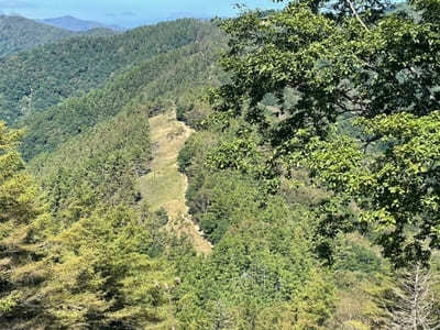 東京都最高峰！雲取山・鴨沢コースの見どころ＆通過ポイント紹介1.jpg