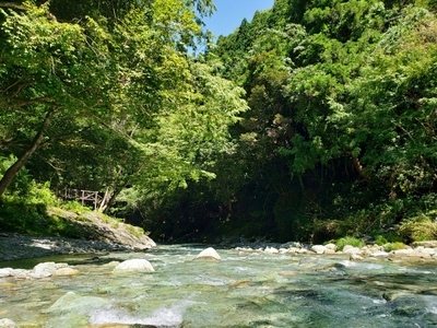 【愛媛】清流で子供と川遊びも！「霧の森」で自然の中で食べて遊んで湯ったり～1.jpg