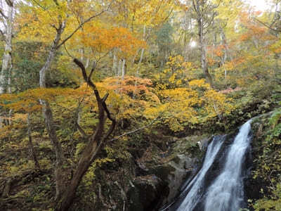 【岐阜:飛騨】紅葉と滝の絶景！「宇津江四十八滝」1.jpg