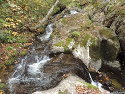 【岐阜:飛騨】紅葉と滝の絶景！「宇津江四十八滝」1.jpg