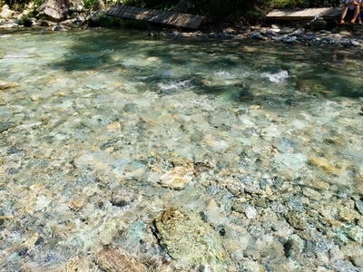 【愛媛】清流で子供と川遊びも！「霧の森」で自然の中で食べて遊んで湯ったり～1.jpg