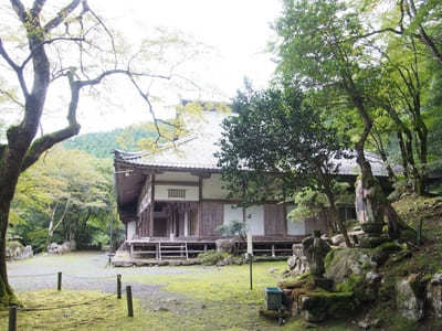 【兵庫】「高源寺」の天目カエデの青に埋もれる！秋には美しい紅葉も1.jpg