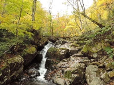 【岐阜:飛騨】紅葉と滝の絶景！「宇津江四十八滝」1.jpg