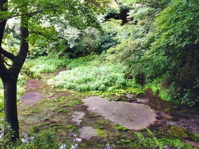 阿蘇山のカルデラが作り出した水の絶景！熊本で必ず行きたい名水スポット6選1.jpg