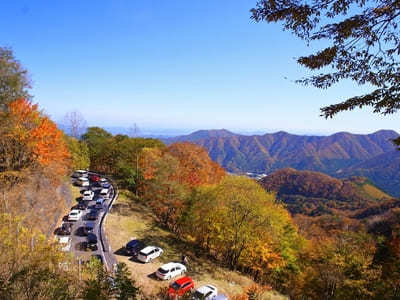 栃木県の人気観光スポットTOP20！旅行好きが行っている観光地ランキング1.jpg